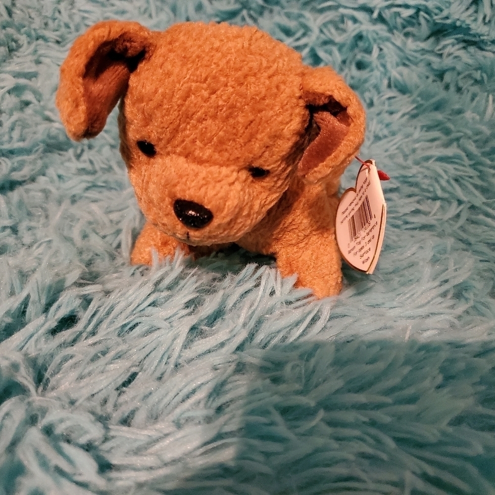 TUFFY the Terrier Dog TY Beanie Baby ***Retired*** - Picture 1 of 6